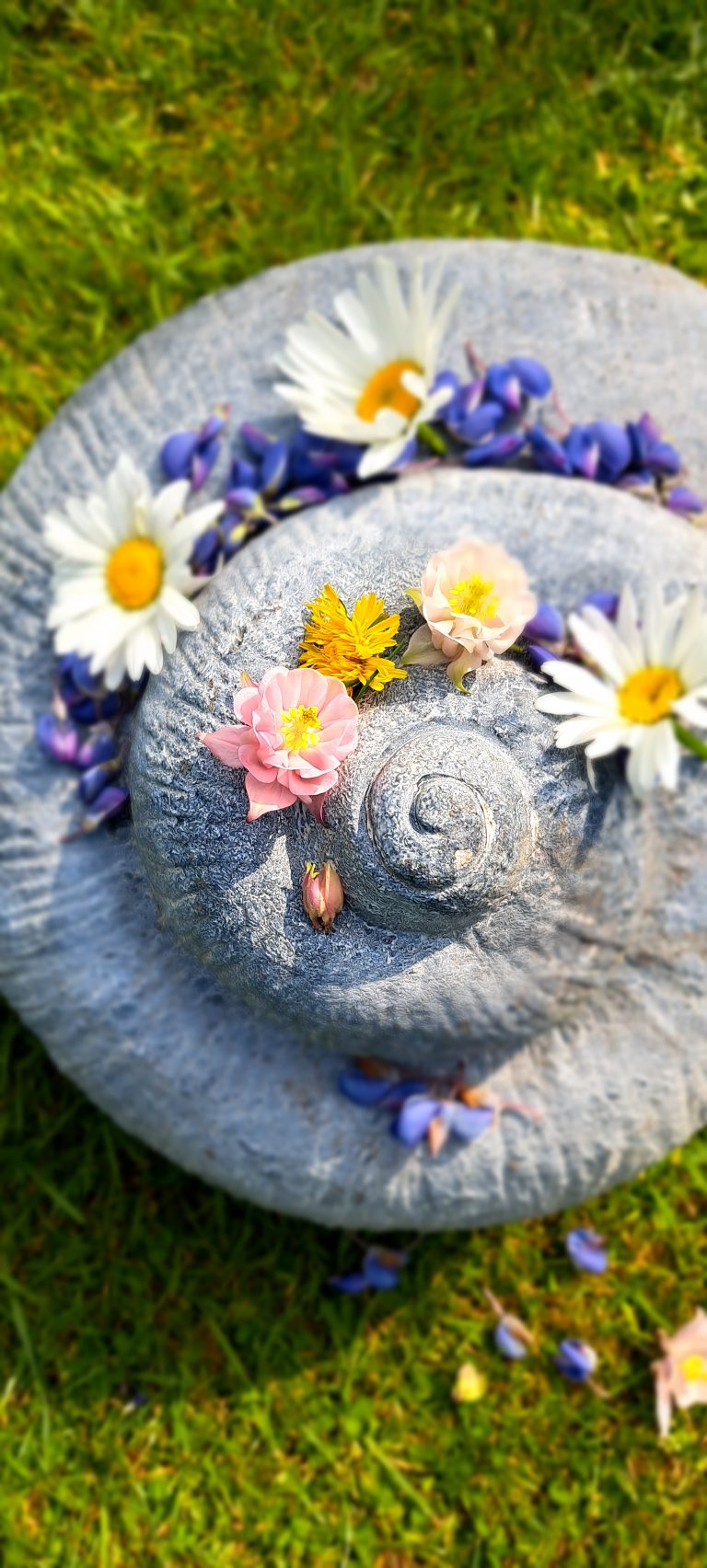 Blumen auf Schneckenskulptur