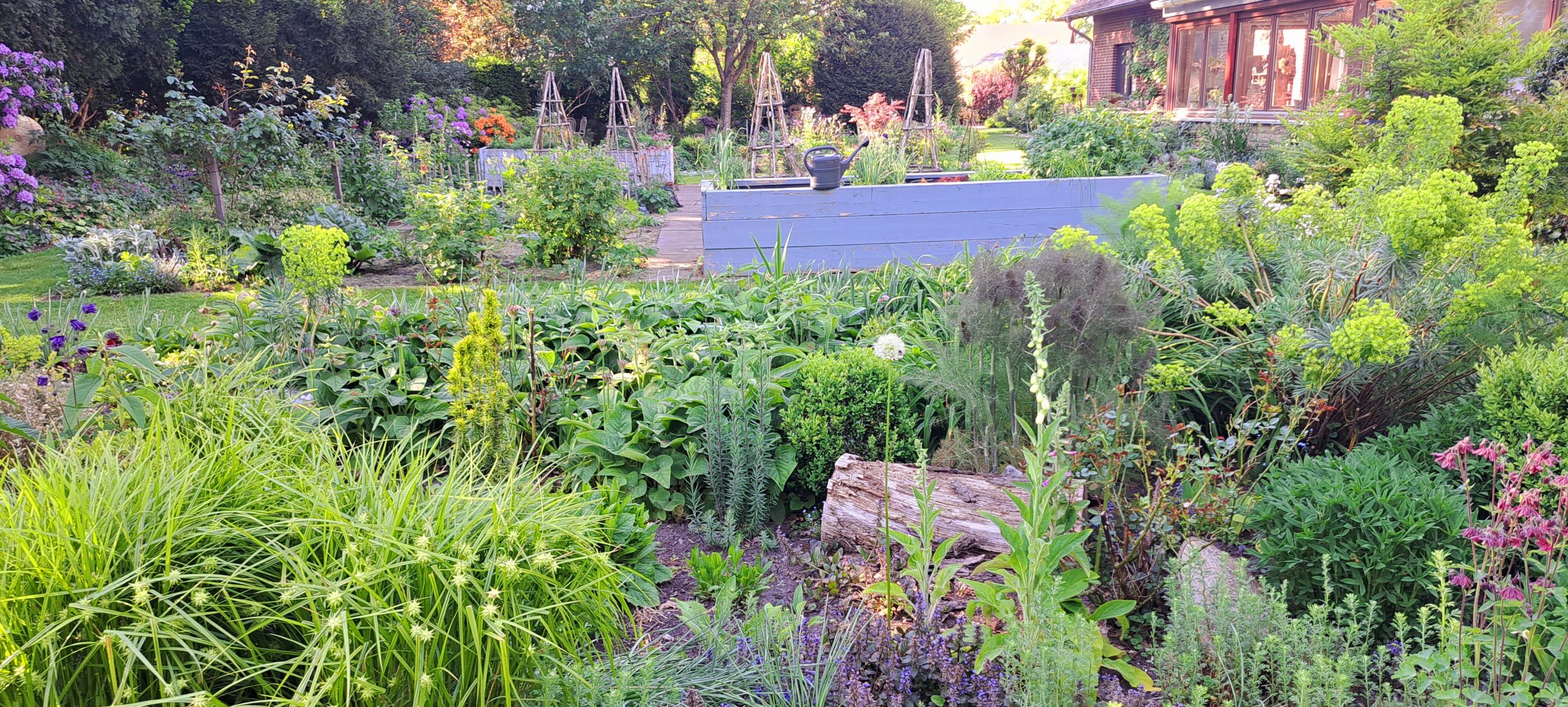 Ausblick in den Schulungs und Therapie Garten